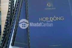 Số lượng có hạn, sở hữu ngay căn hộ cao cấp bình tân