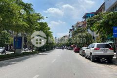 Mảnh đất vàng phố đào tấn, 110m2, siêu mặt tiền 10.5m, quá đẹp, 14.7 tỷ. 0703451750