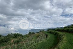 Lô đất 6000m2 tại y týsapa 2 giá đẹp cho các nhà đầu tư