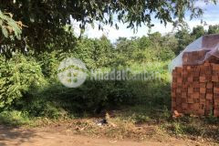 D782 bán đất nn quy hoạch lên odt hẽm cấp 1 buôn bông giá 450 triệu