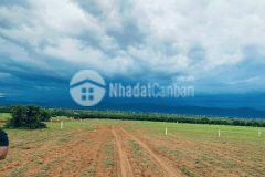 Bán đất biển bình thuận, giá từ 388 triệusổ riêng, công chứng, có giá sỉ cho nhà đầu tư