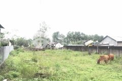 Bán lô đất tại phú hậu, cam an cách quốc lộ 1 a 200m