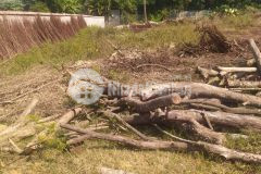 Siêu phẩm đất lương sơn, hòa bình 1950m2, giá 15 tỷ