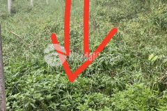 Bán gấp nhà đất tại củ chi, sổ hồng riêng, lh0836279999, 0977088099