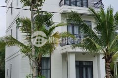 Biệt thự vườn 180m2 đường b2 thái mỹ củ chi shr