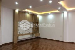 Bán nhà mới dịch vọng hậu 56m2 mặt tiền 8.2m giá 8.8 tỷ ô tô vào gần phố kinh doanh tốt