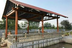 Bán gấp nhà vườn nghĩ dưỡng ở tân phú trung củ chi giáp hóc môn