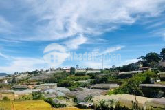 Bán đất đường nam hồ phường 11 tp. đà lạt. diện tích 205 mv ngang 13m.