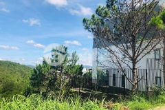 Nền đất hiếm hoi còn sót lại tại kqh viện nghiên cứu, đl