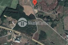 Bán đất vườn trái cây xã diên thọ huyện diên khánh, cách cao bá quát chỉ 300m