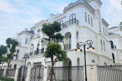 Quỹ căn biệt thự đầu tư hấp dẫn nhất vinhomes ocean park tháng 122021 sinh lời ngay chốc lát