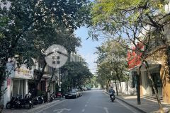 Phân lô cao cấp ngõ 19 trần quang diệu 52m2 x 4 tầng, mt5,2m giá 10 tỷ 8 ngõ ô tô vỉa hè