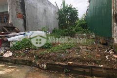 Đất hiếm hoa lâm long biên 116m2 mt9m đầu tư đỉnh ngõ nông gần ô tô chỉ 5.6 tỷ.