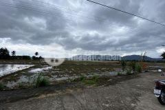 Bán lô đất xây biệt thự quá đẹp xã diên hoà. diên khánh. full thổ cư 3.5 triệum2