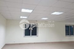 Ngô gia tự bán toà nhà văn phòng 7 tầng thang máy long biên