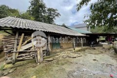 Lô đất 1300m2 view bao trọn y tý sapa 2