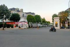 Siêu biệt thự vị trí đắc địa đối diện vinhomes harmony kinh doanh đỉnh