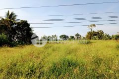 Đất diện tích lớn mặt lộ 4m và sông, thị trấn thới lai cần thơ