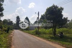 Anh hương covid cân ban gâp thu hôi vôn đất tây ninh giá quá rẻ có 1 0 2