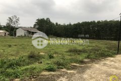 Mua bán đất nền tại quảng trị, đất đẹp triệu ái, triệu phong quảng trị 0941076225