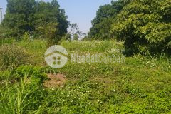 Bán gấp đất lương sơn, hòa bình 3000m2, giá 4,5 tỷ