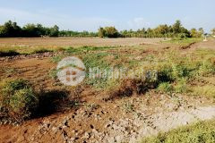 Đất diện tích lớn mặt lộ tỉnh lộ 922 và sông, thị trấn thới lai cần thơ
