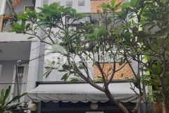 Giảm sâu 1 trệt 3 lầu đặng minh trứ tân bình giá 3ty1