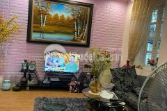 Phân lô tây hồ, ô tô tránh, kinh doanh, nhà mới coong, 50m, mt 4,5m, giá 8,4 tỷ.