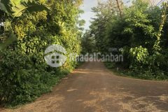 Bán đất buôn bông xã eakao tp buôn ma thột đaklak