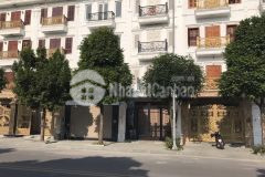 Bán liền kề minh nhựa phố lâm hạ hoàng như tiếp.