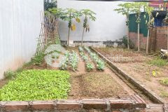 Bán đất an thượng 62m suv tận cửa tránh sh giá 3x