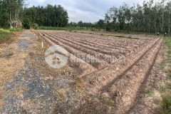 Cần bán lô đất tại ấp cây da, xã hiệp thạnh, huyện gò dầu, tỉnh tây ninh giá 260tr