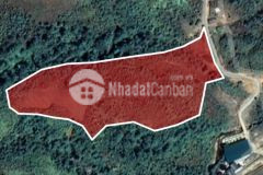 Chính chủ bán lô đất 3,5ha đẹp nhất phìn hồ, y tý sapa2, bát xát, lào cai giá rẻ