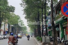 Siêu đẹp mặt phố láng hạ 175 m2, mt 8.3 m, hiếm, giá 600 tr m2 105 tỷ