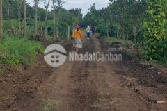 Đất nhà vườn mini 550m2 xã eakao tp bmt