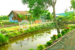 Hàng ngộp đầu tư 640 m2 full thổ 25x24m, mỹ lộc, 3 tỷ