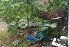 Bán đất lô góc ở thúy lĩnh, hoàng mai, 55m2 x 4.2m mt chào 2.4 tỷcó thương lượng