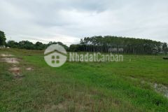 Hàng ngộp cần bán ngay lô đất 1500m2 củ chi giáp hóc môn giá 2 tỷ 1