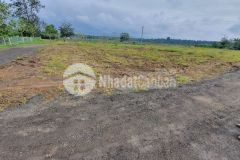 Bán đất 5 lô liền kề hồ tara xã hòa đông giá đầu tư 365 triệu