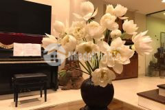 Đón tết cùng nhà đào tấn, ba đình 91m2 5 tầng, mặt tiền 5m ô tô phố toàn tây.