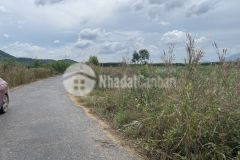 Bán 15 ha đất gần cao tốc 1.6 tỷ ha tân phúc hàm tân bình thuận