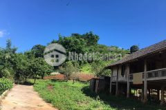 4000m2 đất vườn tại mộc châu có sổ đỏ cần bán cắt lỗ phù hợp đầu tư đón sóng quy hoạch cao tốc hà n