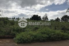 D813 bán đất buôn cưlim xã eakao giá 700 triệu