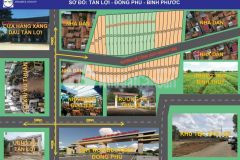 Đất phân lô tân lợi đồng phú bình phước.