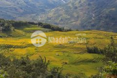 Sở hữu ngay lô đất 100m2 có sổ đỏ tại trung tâm chợ y tý giá thích hợp để đầu tư