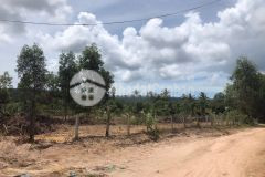 Đầu tư đất nền giá rẻ ấp bến tràm,suối đá bàn, phú quốc