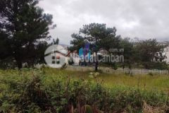 Bán đất đường kqh phù đổng thiên vương p.8 tp. đà lạt. diện tích 755 m² giá bán 37 tỷ