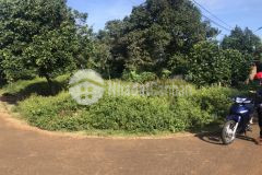 D820 siêu phẩm đất 2mt buôn tăngju xã eakao giá 920