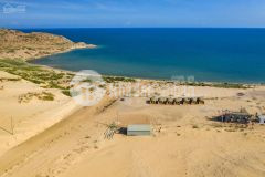 Tôi cần bán 4 sổ đất ven biển hòa thắng phan rí, đường ô tô, gần chùa minh đạo. giá từ 387 triệu