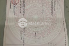 Chính chủ đang cần tiền bán gấp lô đất 1500m2 tại tam dương với giá cực sốc